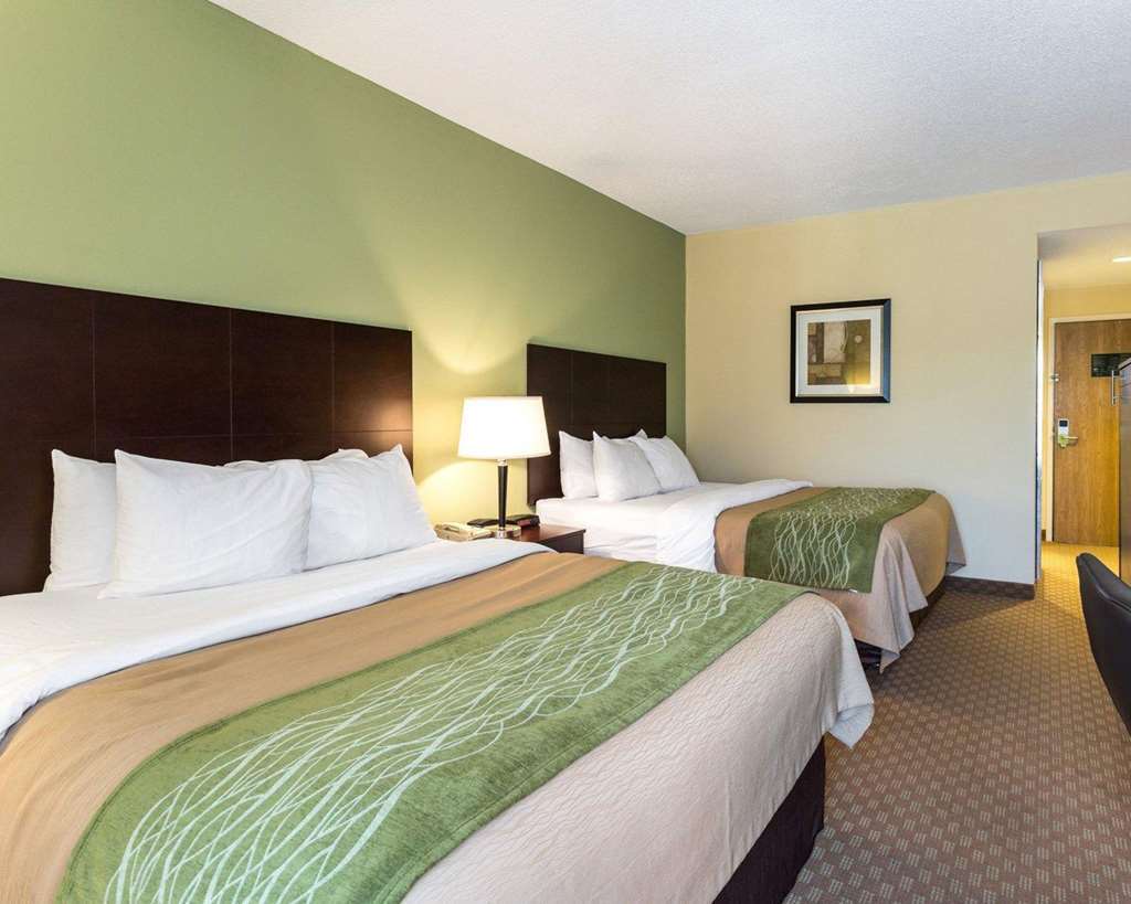 Comfort Inn Horn Lake Phòng bức ảnh