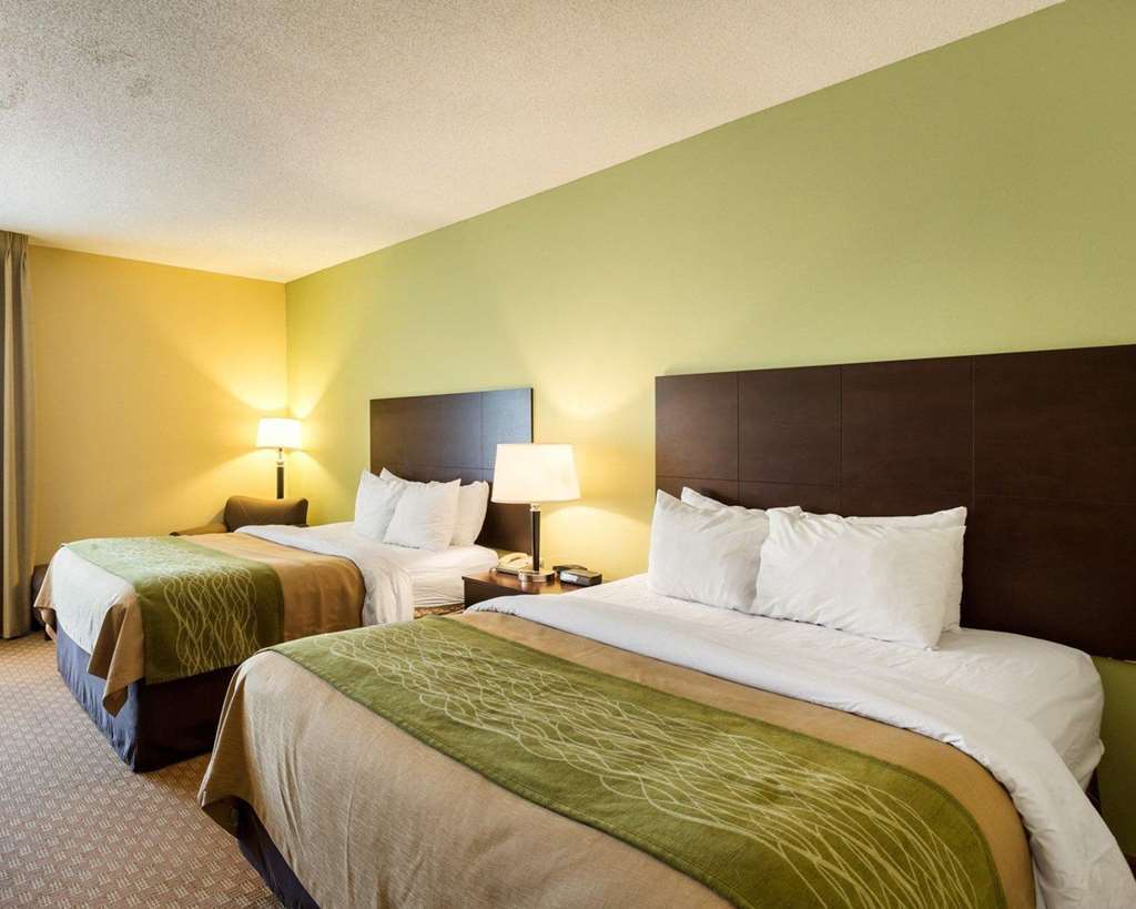 Comfort Inn Horn Lake Phòng bức ảnh