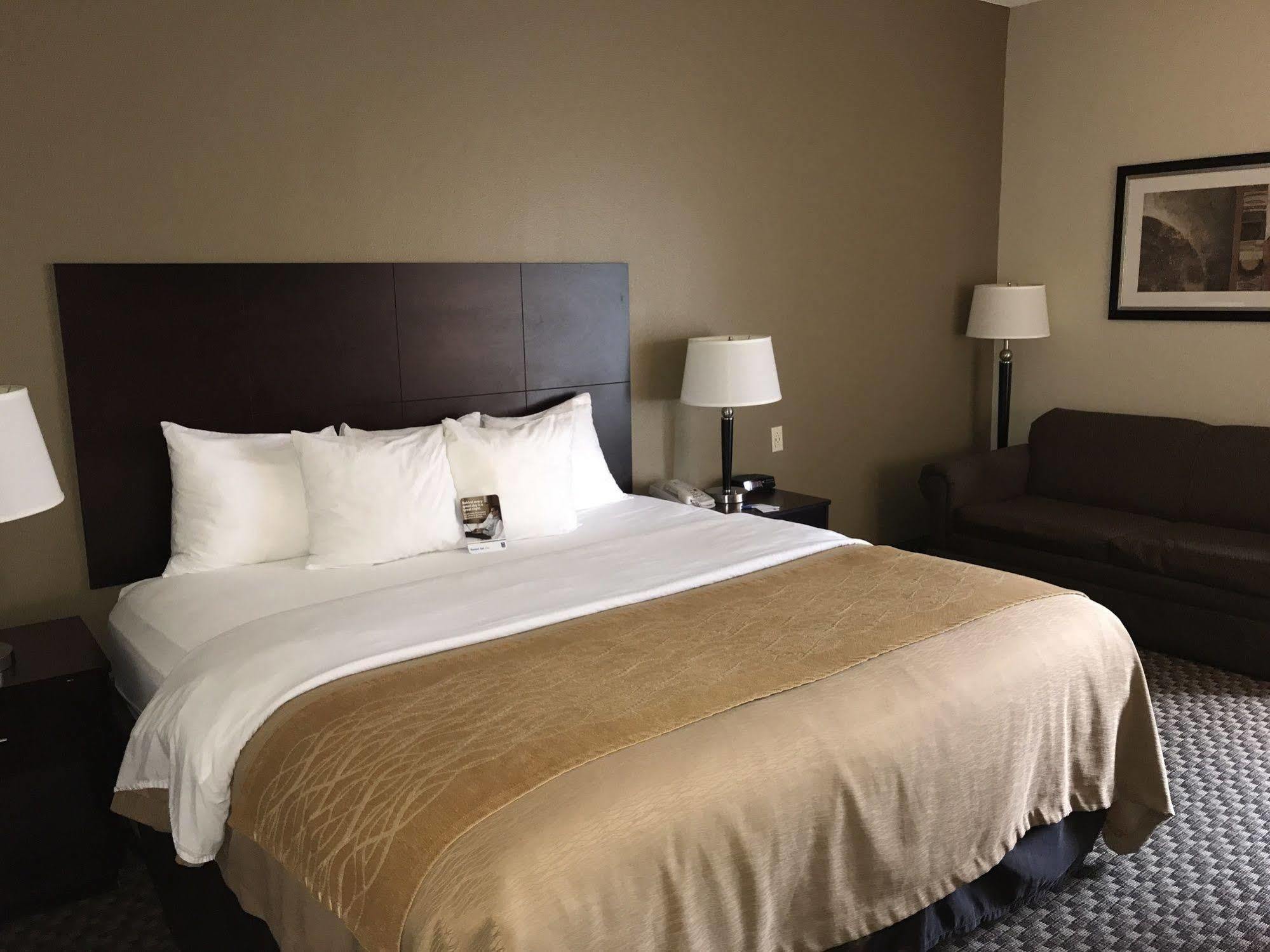 Comfort Inn Horn Lake Ngoại thất bức ảnh